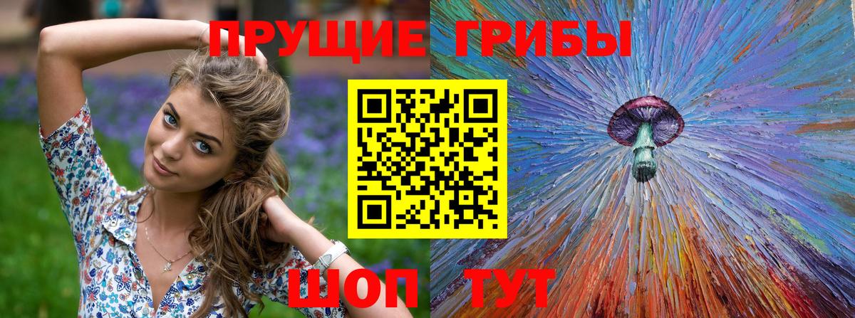 Санкт-Петербург  Псилоцибиновые грибы Psilocybine cubensis  Вход с VPN 