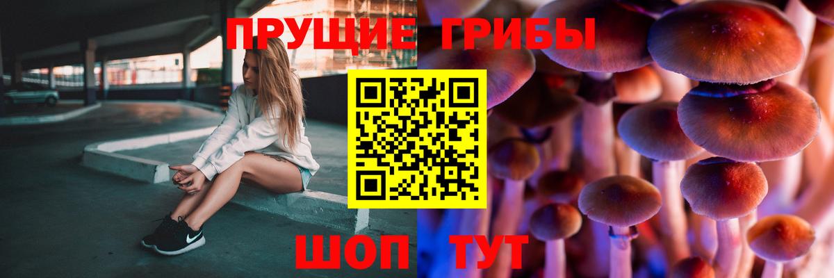 Галлюциногенные грибы Cubensis Санкт-Петербург